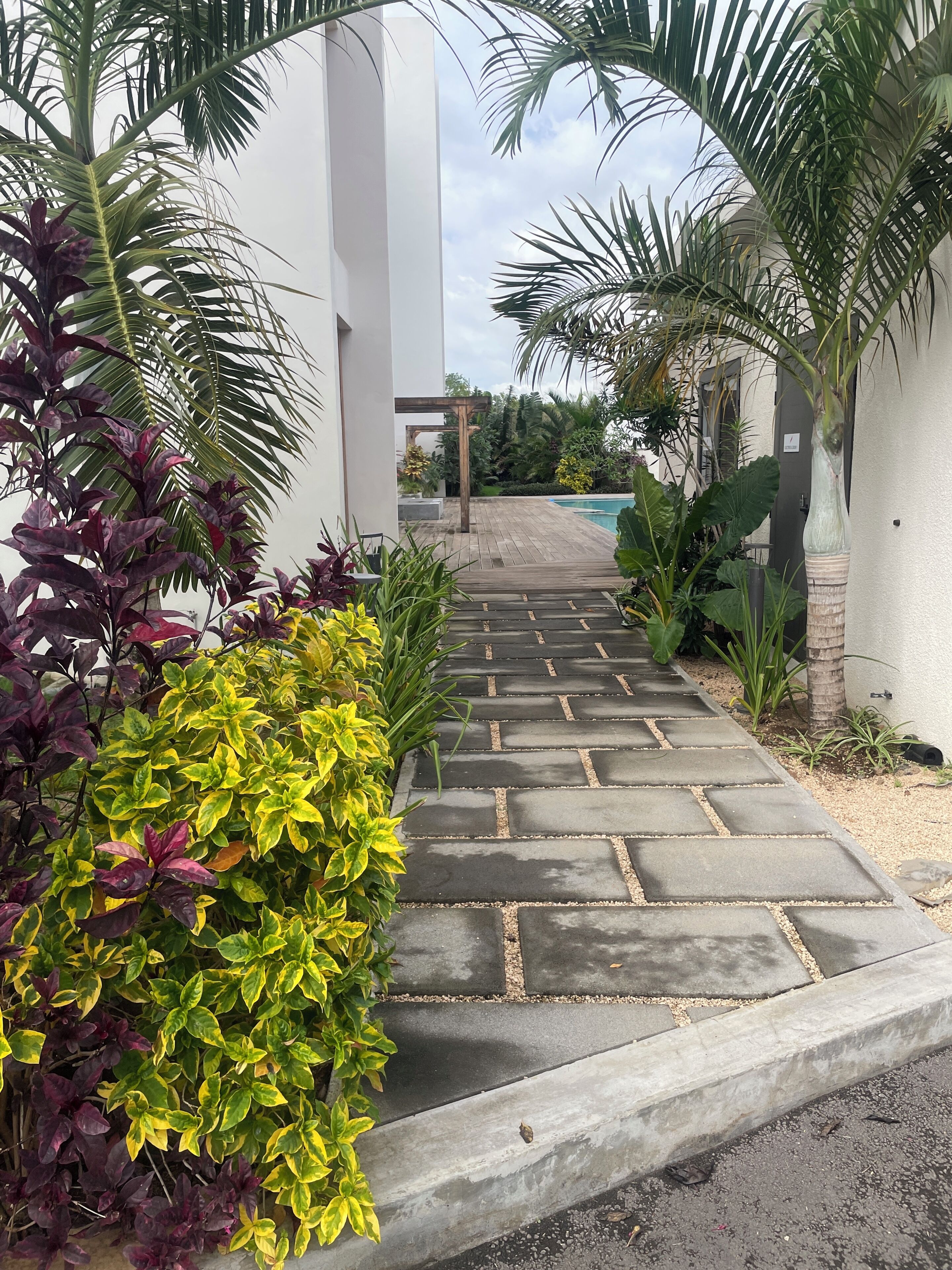 Un chemin mène à un espace piscine agrémenté d’une pergola, le tout entouré d’une végétation luxuriante et bordé d’un bâtiment moderne.