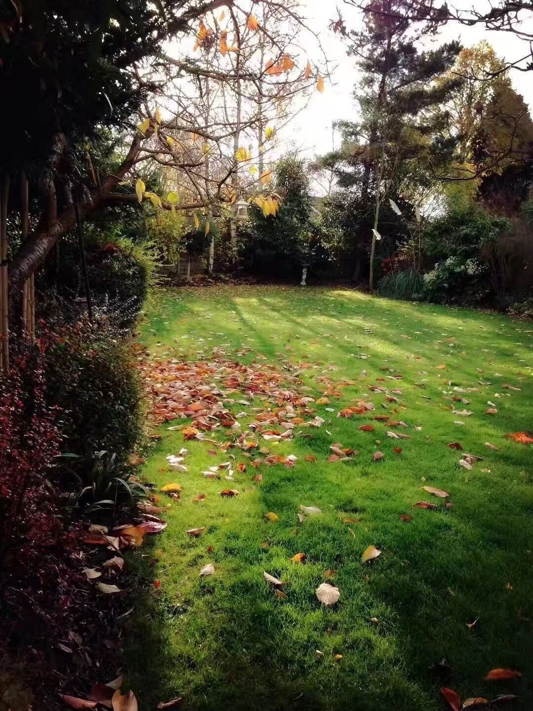 Jardines del alojamiento