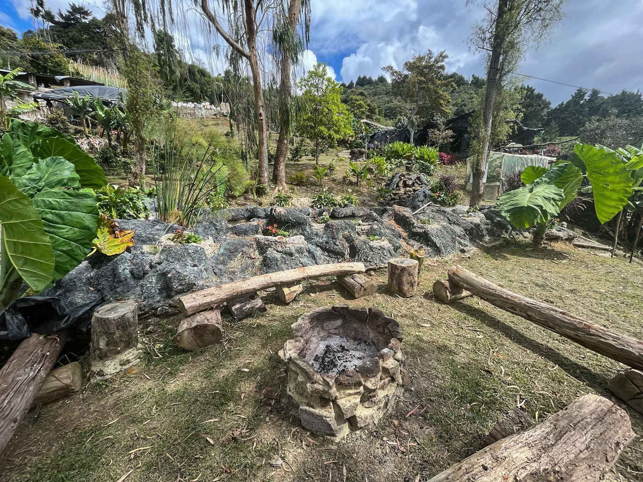 A garden with a fire pit, wooden logs, and various plants.