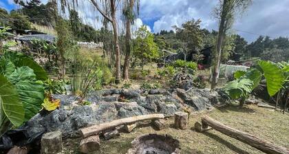 Medellin Bird Waching Forest Cabin Arvi