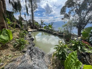 A natural landscape with a pond, rocks, and various plants.