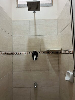 Serviettes fournies, savon, papier toilette