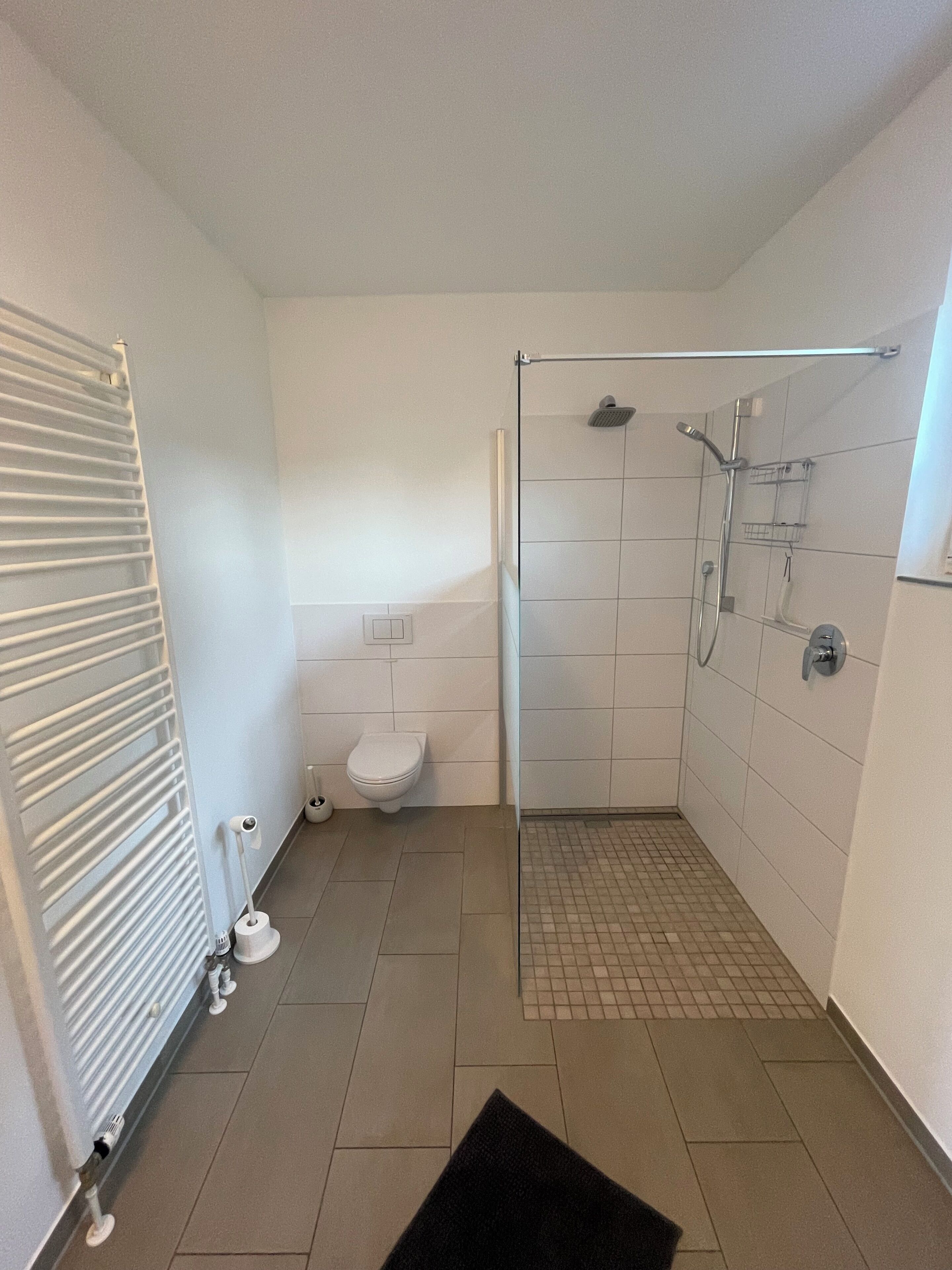 Une salle de bain avec douche, toilettes et radiateur.