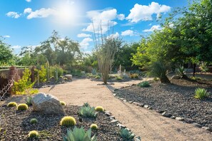 A garden with various cacti and succulents, a gravel path, and a brick wall. - Desert Vista Off-Road Experience|E-Dirt Bikes|Pool (Scottsdale)