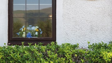 Detalle exterior