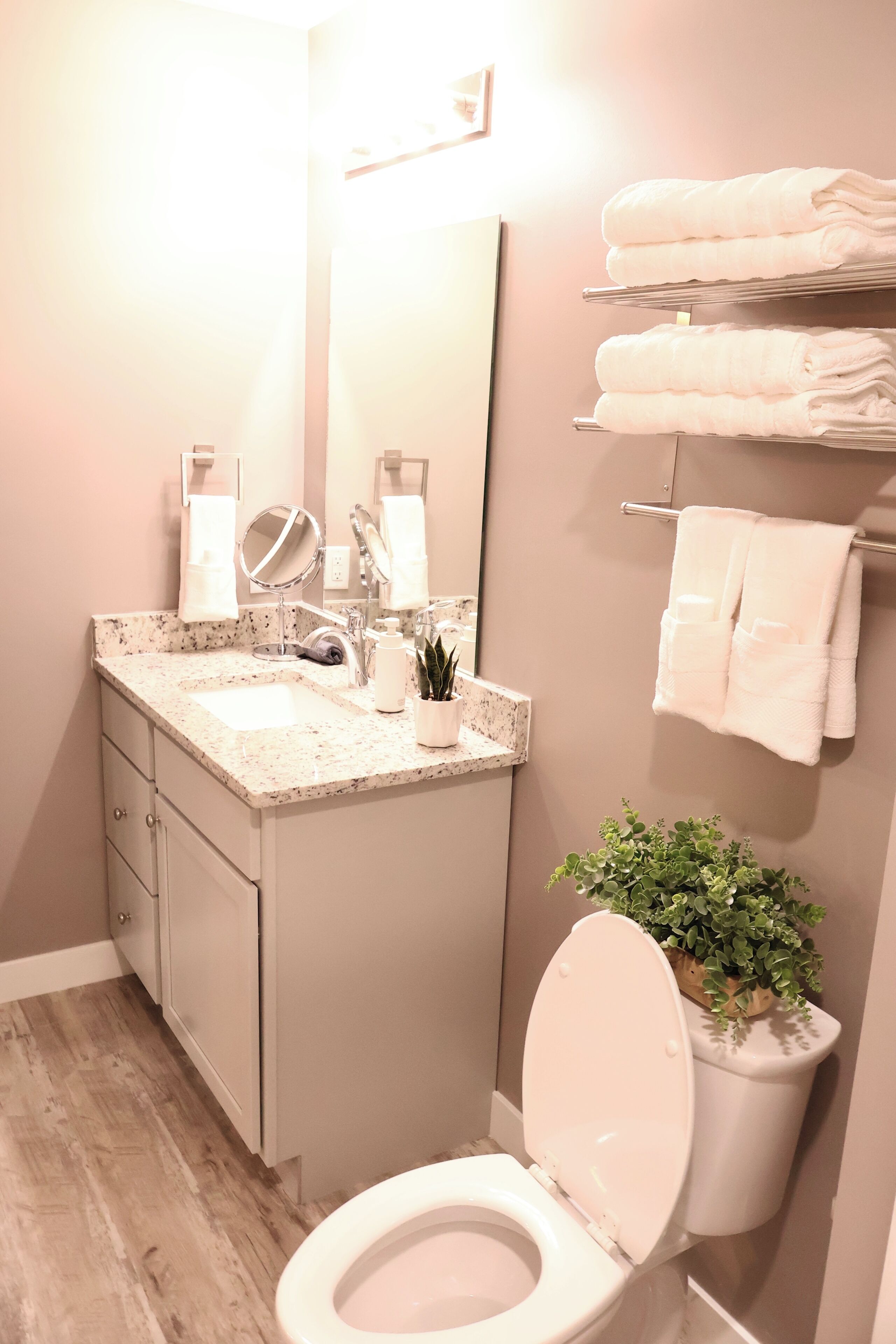 A bathroom with a toilet, sink, mirror, towel rack, and a potted plant.