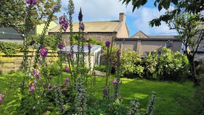 Un jardín con diversas plantas y flores, una casa de ladrillo y un cielo despejado.