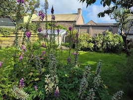 A garden with various plants and flowers, a brick house, and a clear sky.