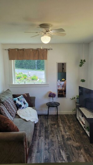 A living room with a sofa, a TV, a ceiling fan, a window with a view of greenery, and a small table with a vase.