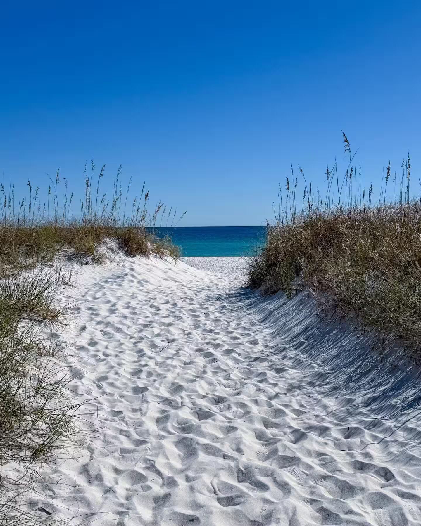 En sti gennem sanden, der fører ned til havet med klart, blåt vand og en blå himmel.