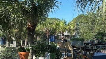 An outdoor patio area with a wooden deck, potted plants, and a clear blue sky.