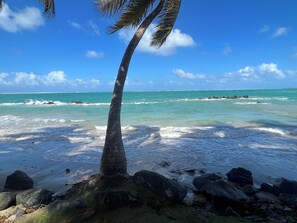 Una playa con una palmera, cielo azul despejado y mar tranquilo.