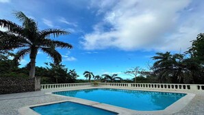 Piscina com deck ladrilhado e palmeiras ao fundo.