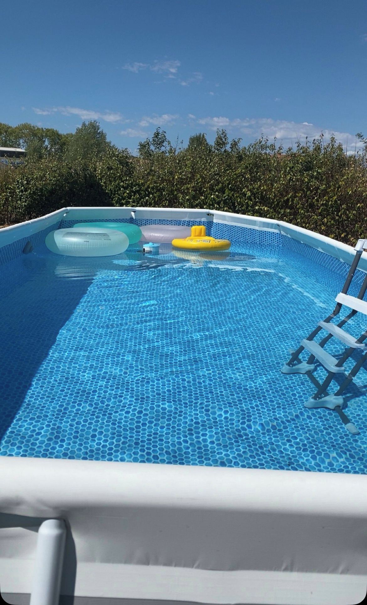 Una piscina con escalera, rodeada de un seto.