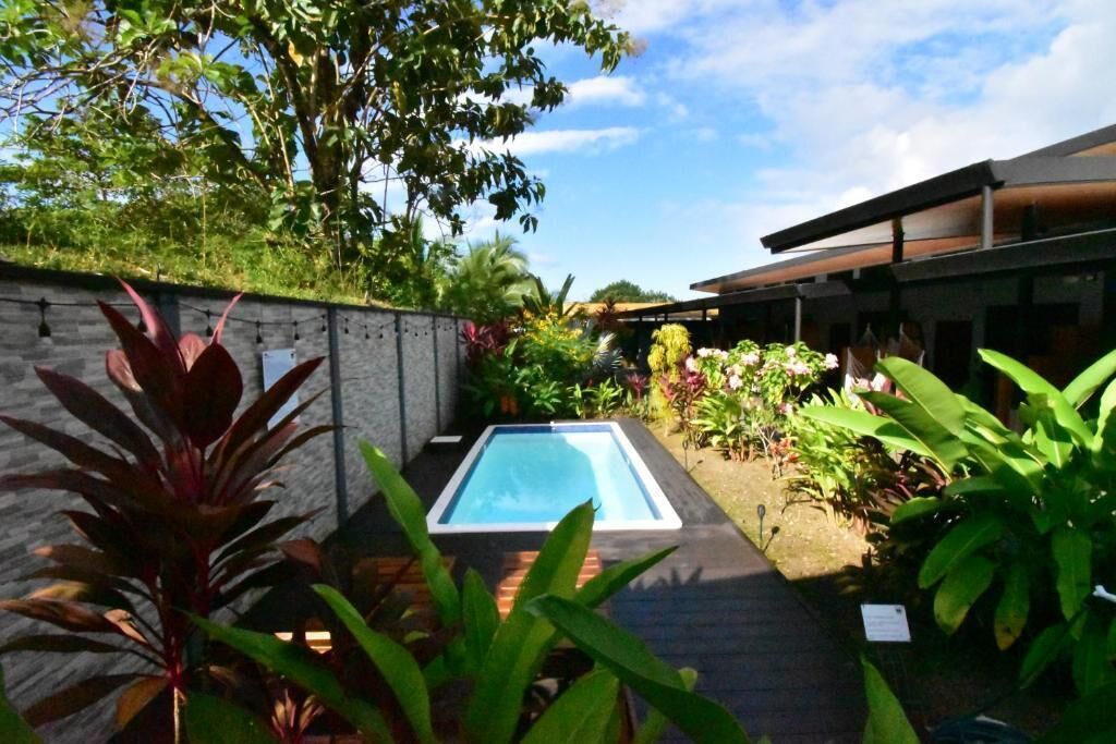 A swimming pool surrounded by a garden with various plants and a modern building in the background.
