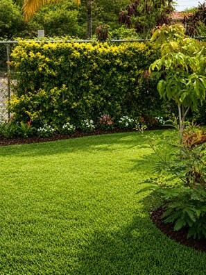 Een verzorgd gazon met verschillende struiken en bloeiende planten.