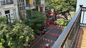 Vista de la calle con edificios, árboles y una acera para peatones.