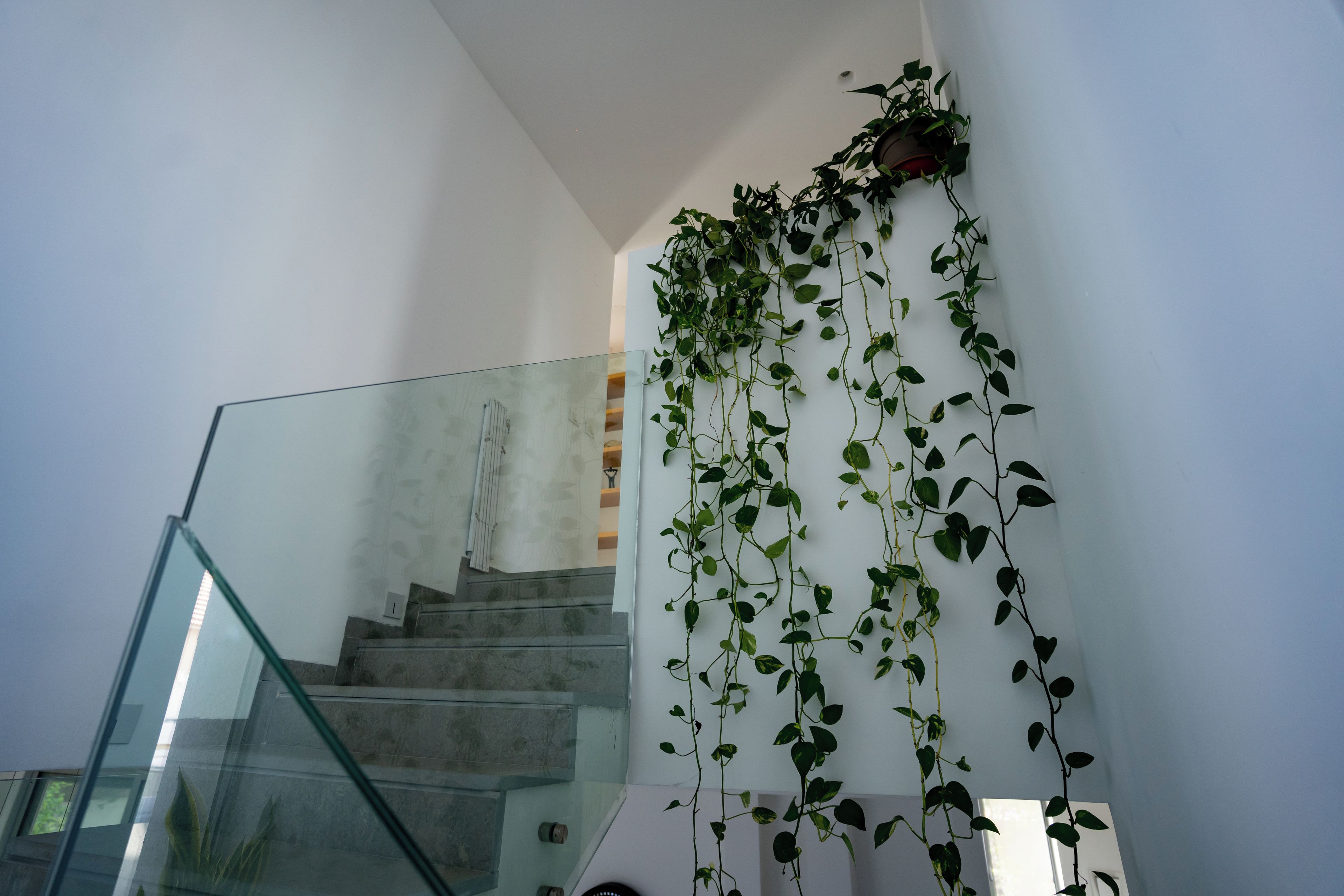 Una escalera con barandilla de vidrio y una pared cubierta de plantas trepadoras.