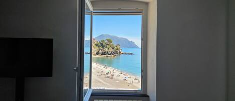 A room with a view of a beach and a mountain.