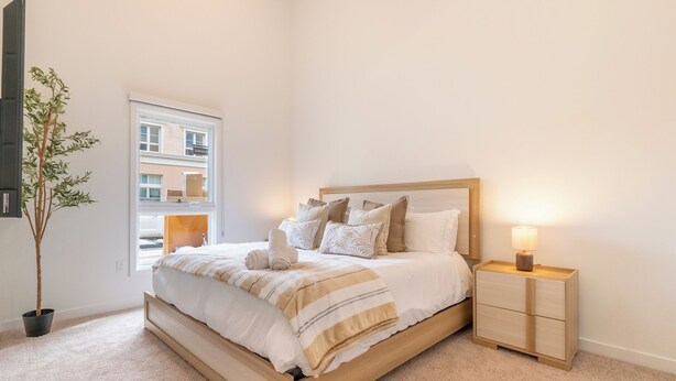 A bedroom with a bed, bedside table, lamp, and a potted plant.