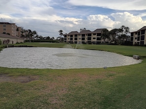 Property grounds - Spacious 2 bedroom condo in desirable Hutchinson Island Resort Community (Fort Pierce)