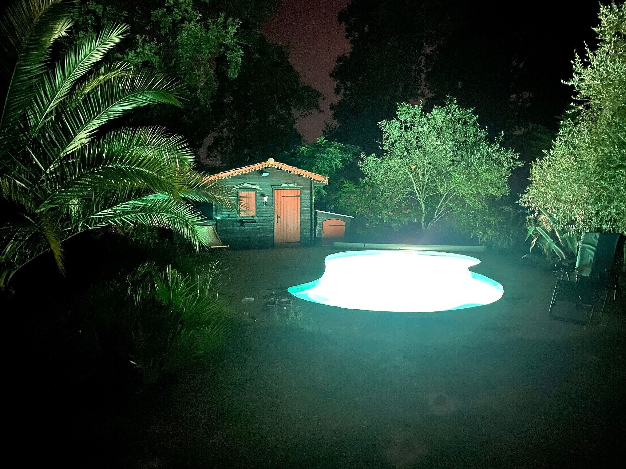 A small wooden cabin with a swimming pool at night, surrounded by dense foliage.