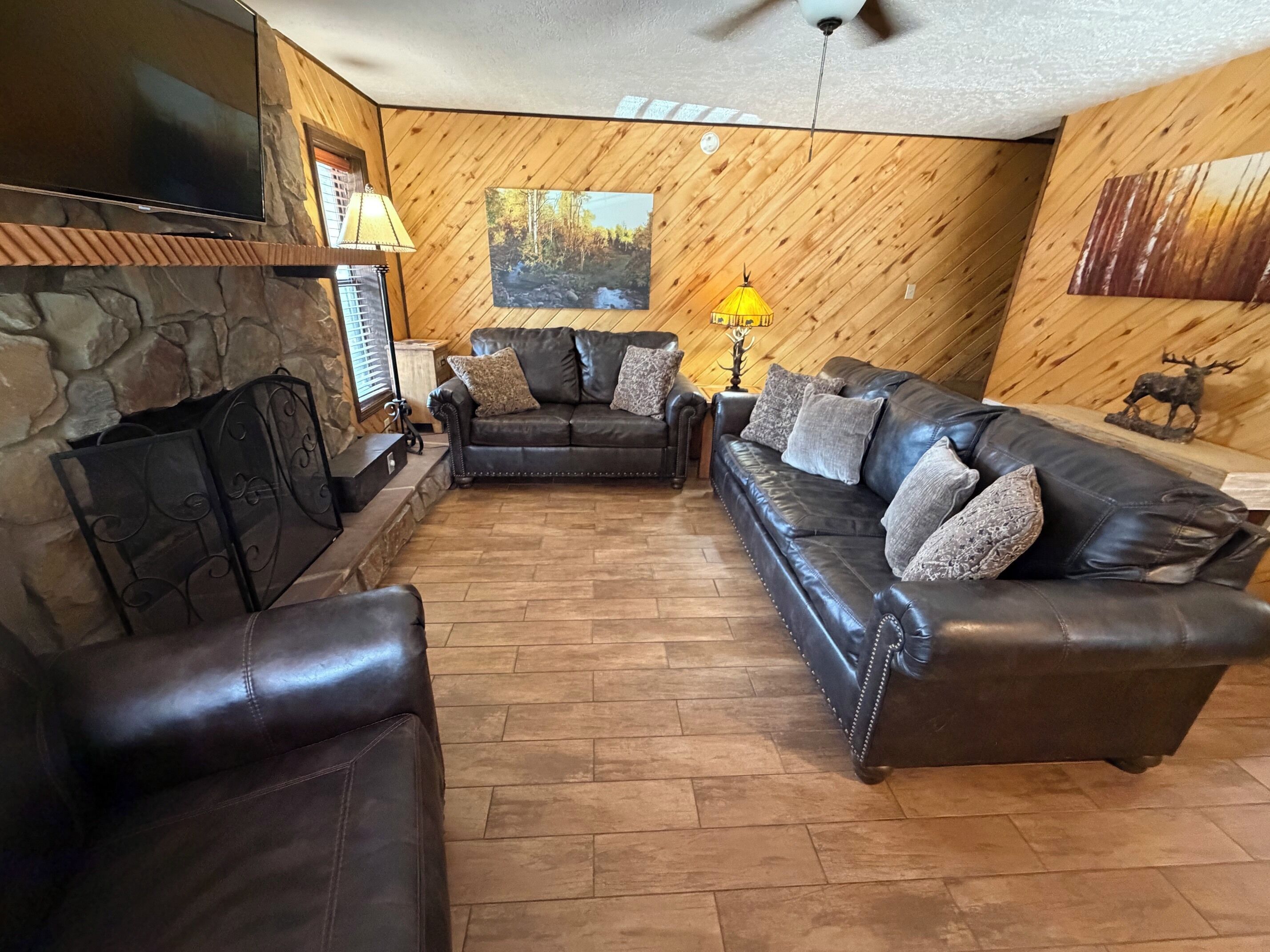 TV, fireplace