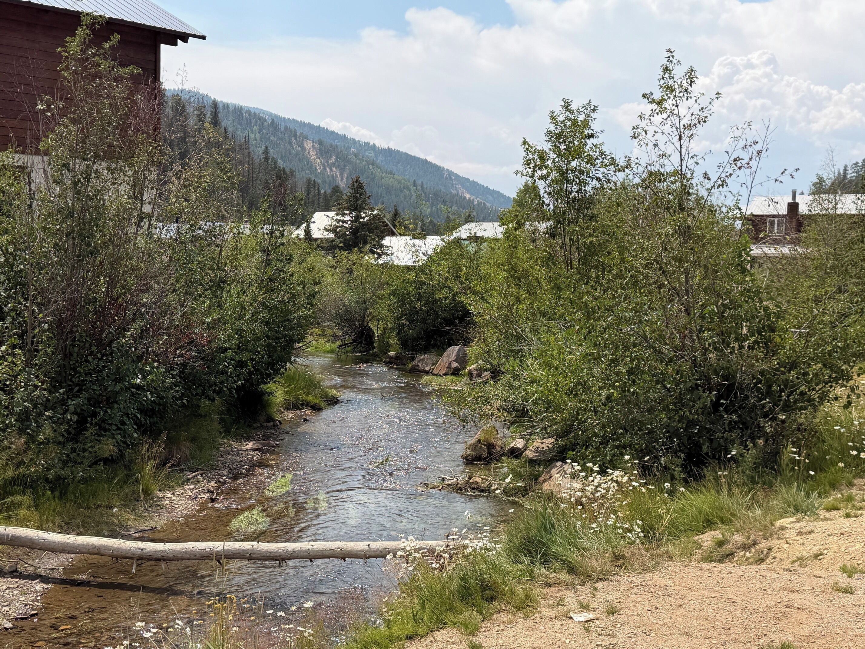 A natural landscape with a stream, dense vegetation, and a mountain in the background.
