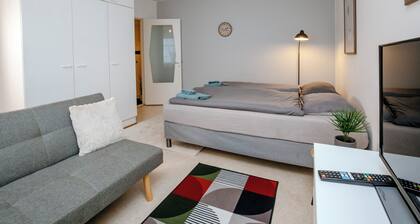 Stylish Kemi Studio Peaceful Neighborhood(Ideal for two travelers, pet-friendly)