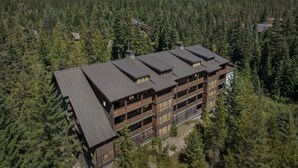 Eine mehrstöckige Lodge mit dunklem Dach, umgeben von dichtem Wald, mit einem Berg im Hintergrund.