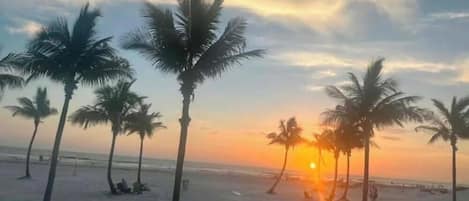 A beach with palm trees and the sun setting in the background.