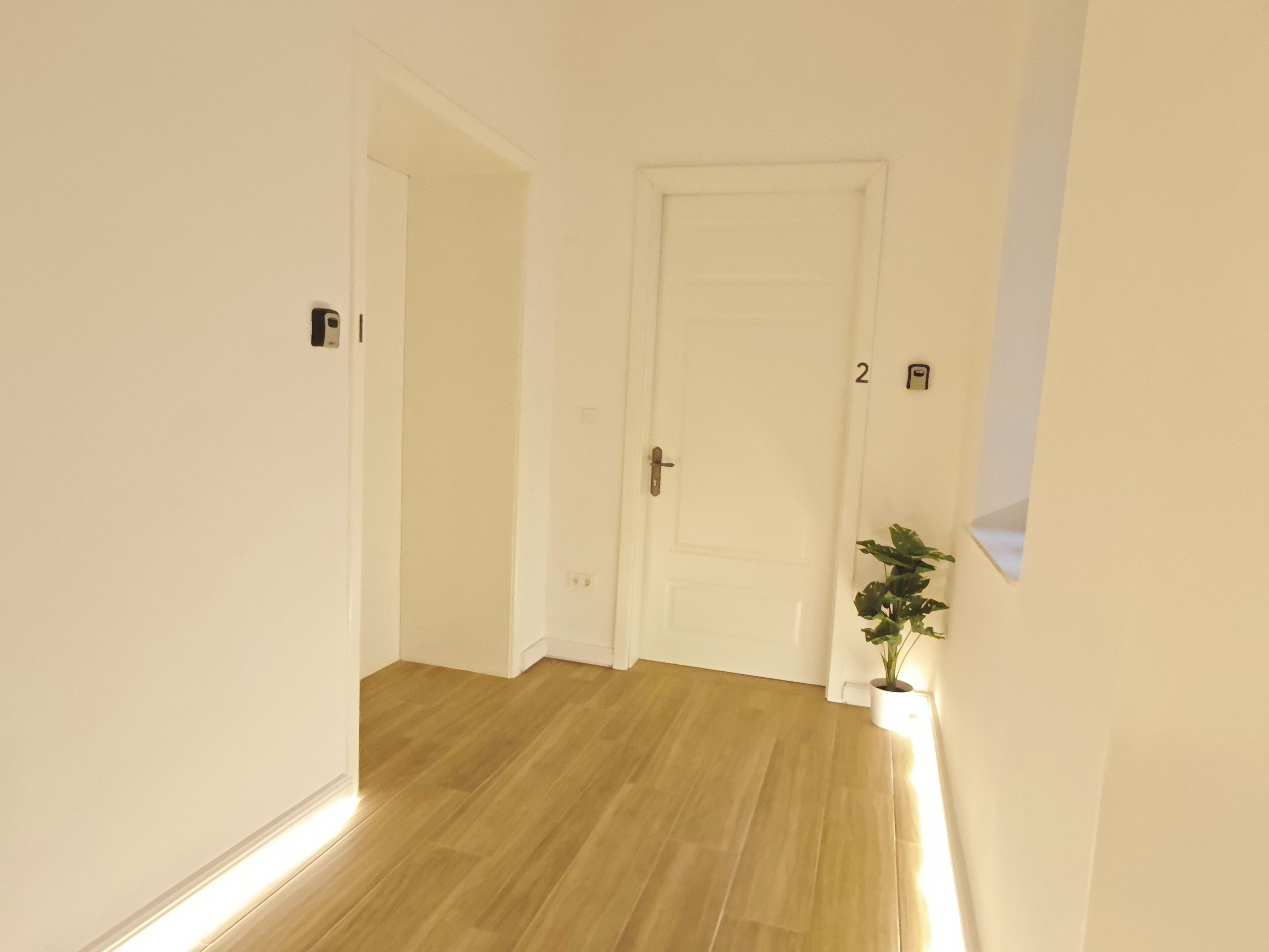 A hallway with a wooden floor, a white door, and a small potted plant.