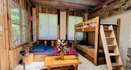 Tropical Family Nest & Garden Sanctuary in charming Corozal awaits you.