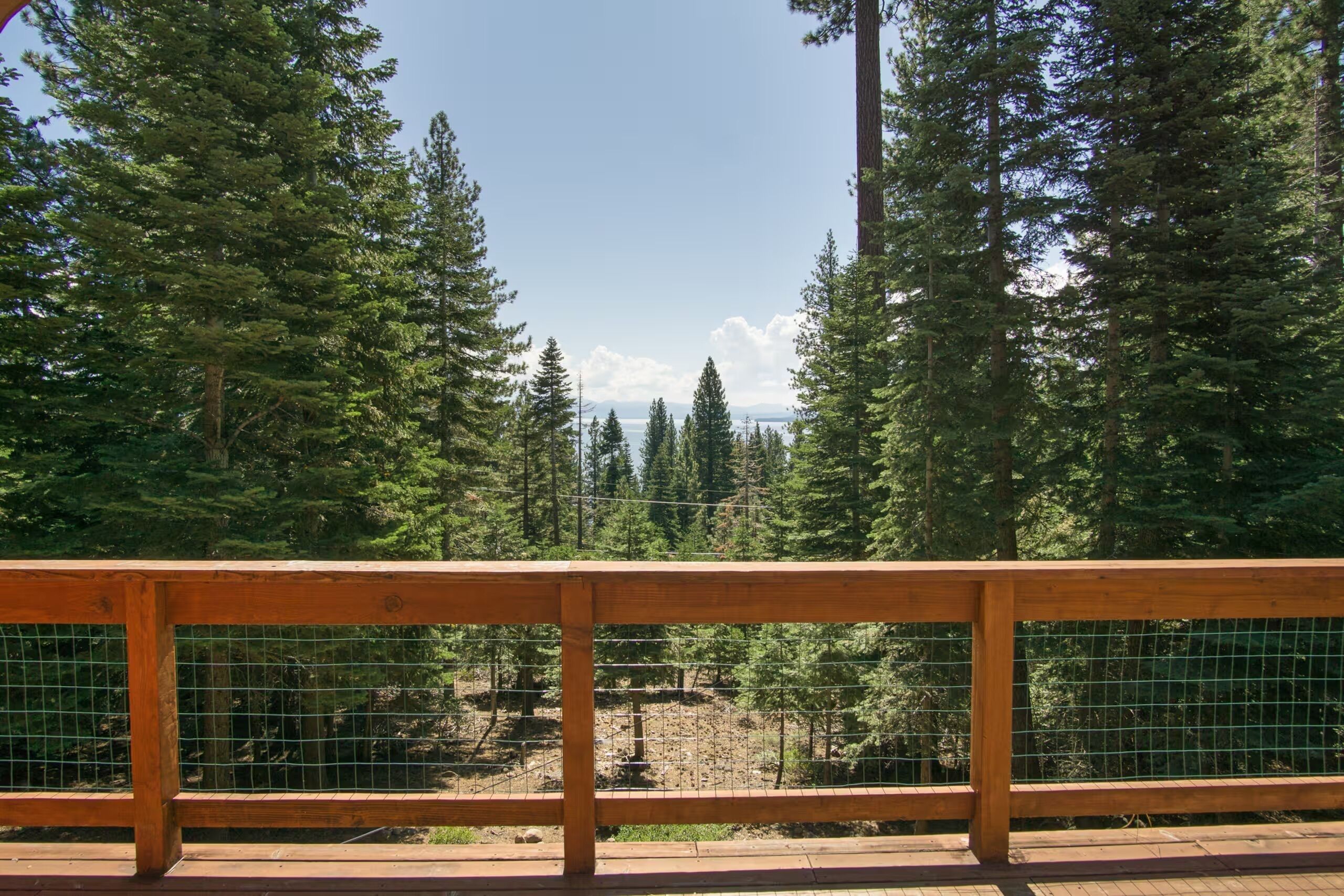 A wooden deck with a metal railing overlooking a forested area with tall trees and a clear sky.
