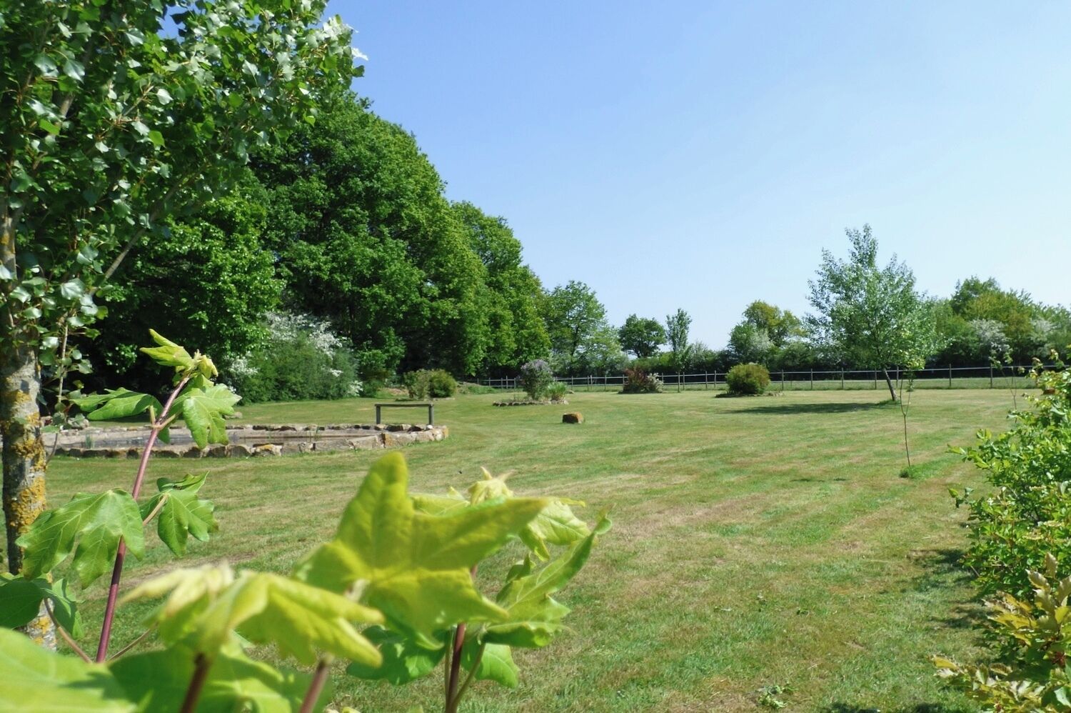 A grassy outdoor area with trees and a fence.