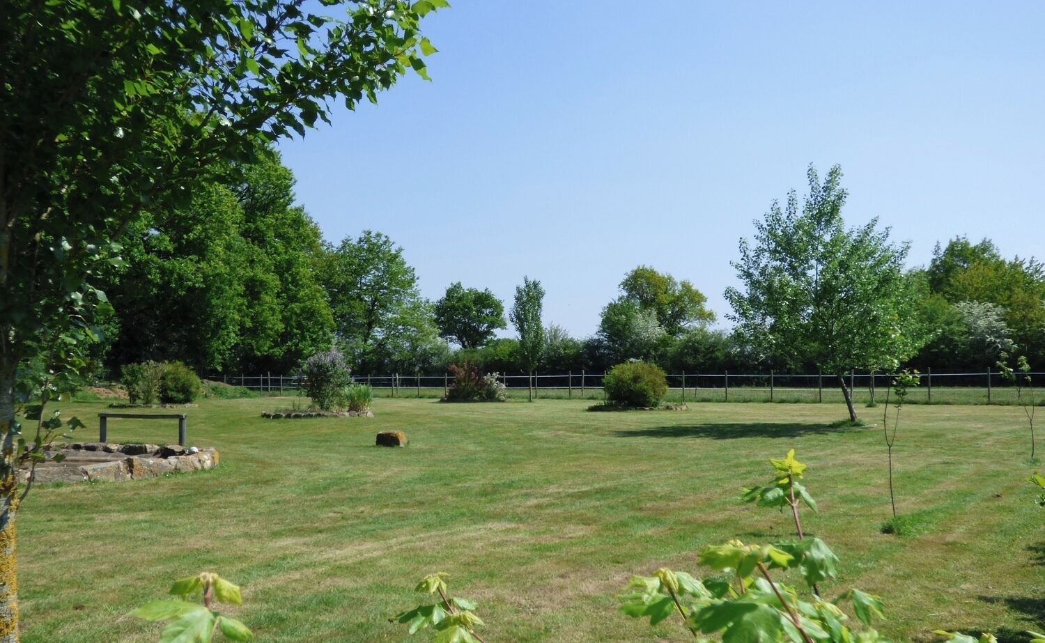 Un espace extérieur verdoyant, avec des arbres et une clôture.