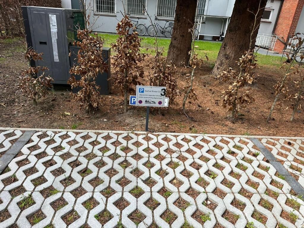 A parking sign with a wheelchair symbol, a paved area with a geometric pattern, and trees with brown leaves.