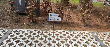 A parking sign with a wheelchair symbol, a paved area with a geometric pattern, and trees with brown leaves.