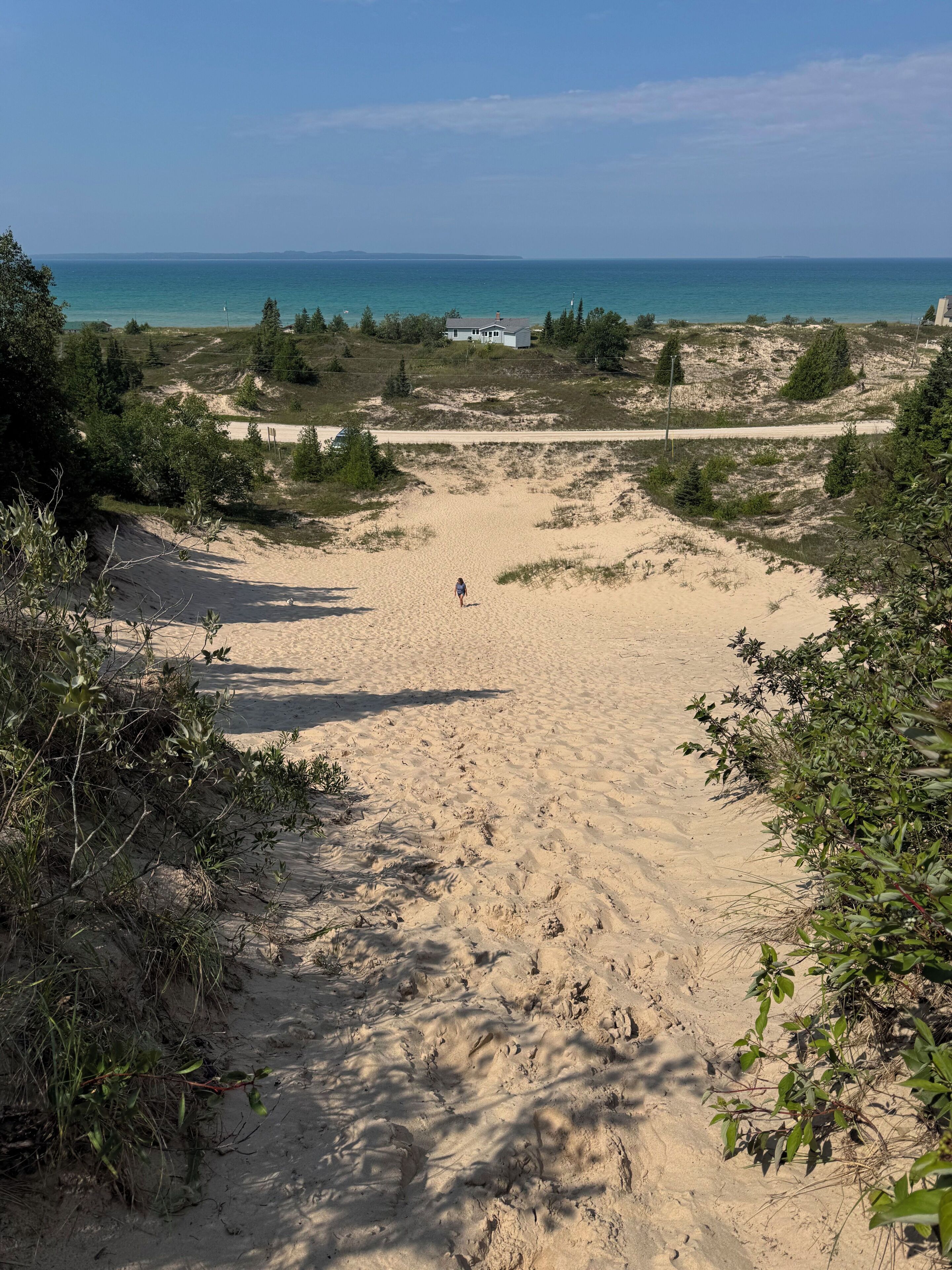 A sandy beach with a person walking, surrounded by greenery and a clear view of the sea.