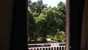 A room with a view of a balcony and trees.