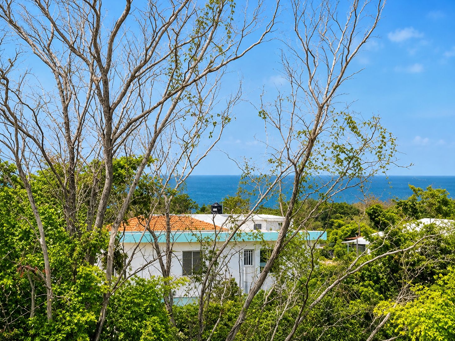 A coastal property with a view of the ocean, surrounded by lush greenery and a clear sky.