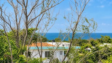 A coastal property with a view of the ocean, surrounded by lush greenery and a clear sky.
