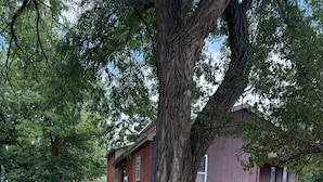 A residential property with a large tree in front of a two-story building. - Spacious 5-bedroom house in Sturgis South Dakota! (Sturgis)