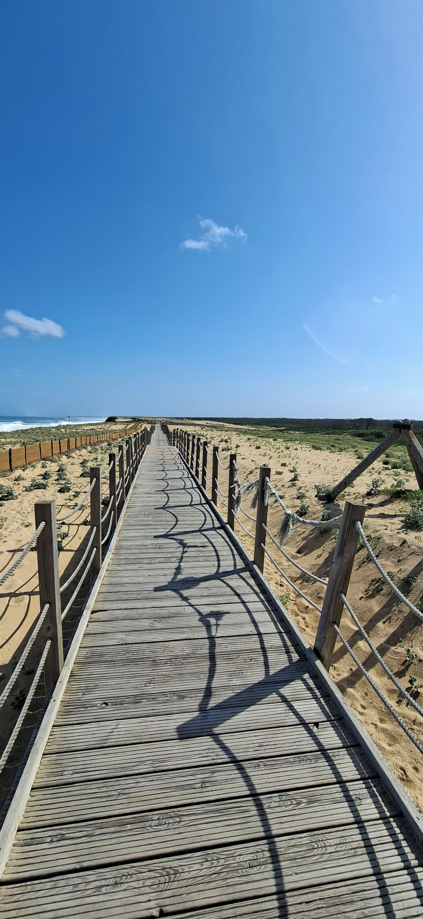 En træbro der fører til en strand med en klar himmel.