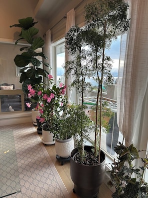 Ein Zimmer mit großen Fenstern, Zimmerpflanzen und Blick auf die Stadtlandschaft.