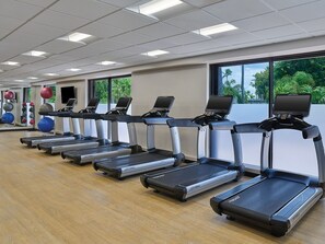 Varias cintas de correr en un gimnasio con ventanas amplias y pelotas de ejercicio al fondo.