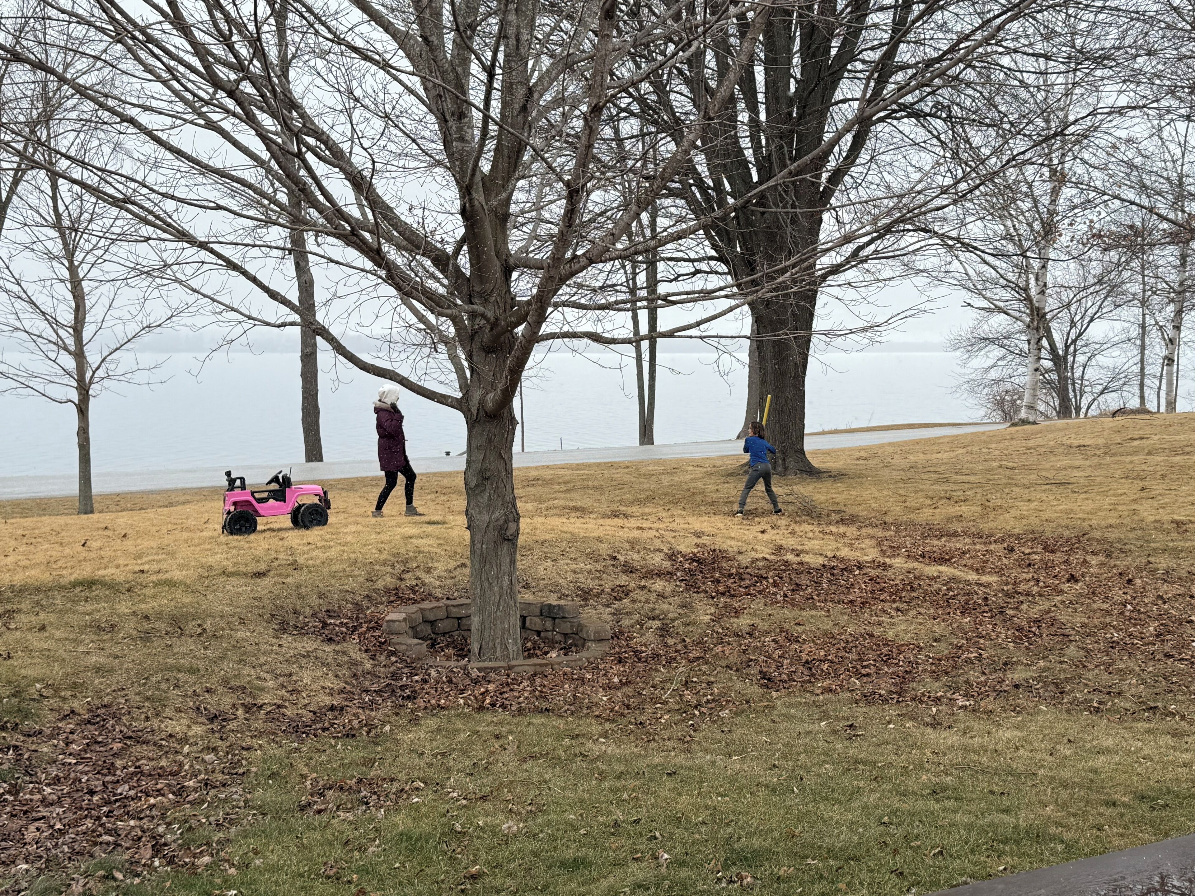 A park with a large tree, a pink toy vehicle, and a person playing with a yellow bat.