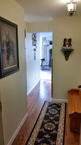 Luxury condo in the heart of Kitchener
