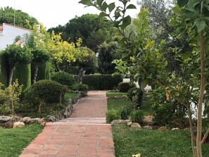 Ein gepflegter Garten mit verschiedenen Sträuchern und Bäumen, durch den ein befestigter Weg führt.