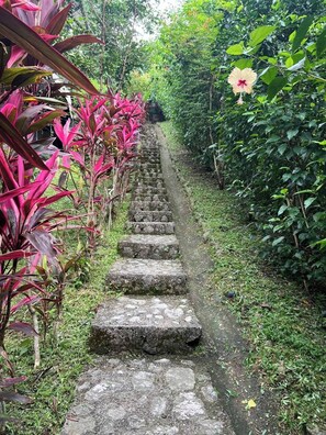 A stone staircase surrounded by lush greenery and flowering plants. - Casa Siempre Verde Ocean View (Nosara)